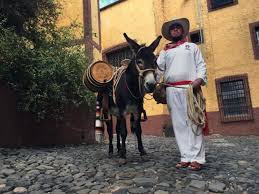 images-2