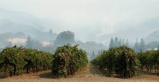 images-4
