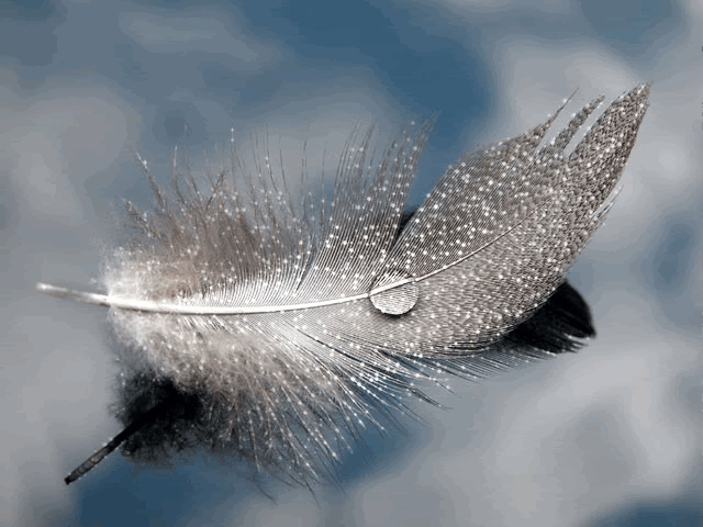 848696138af653587bb847dacd867359.gif